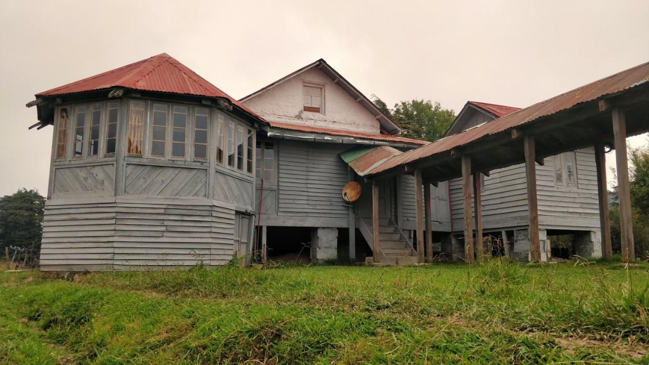 Black Bear Cottage Khajjiar Exterior photo